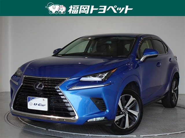 NX 300h バージョンL 