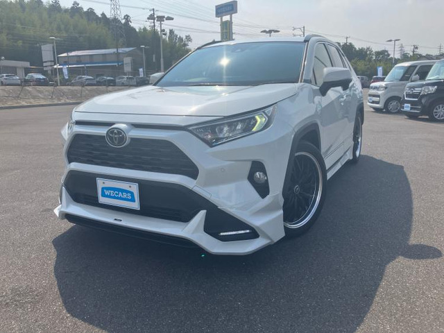 RAV42.0 X