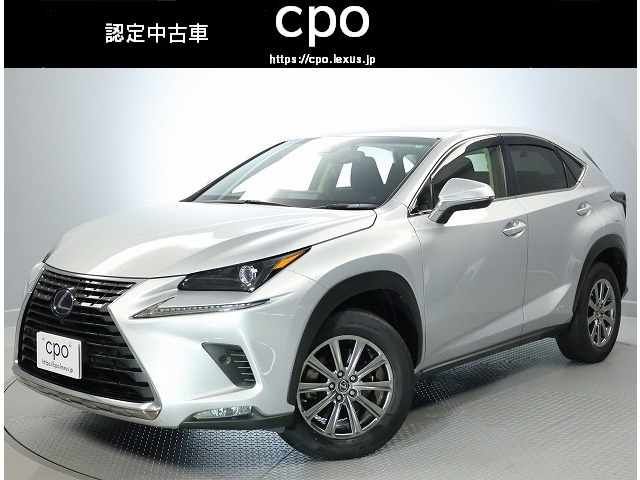 NX300h