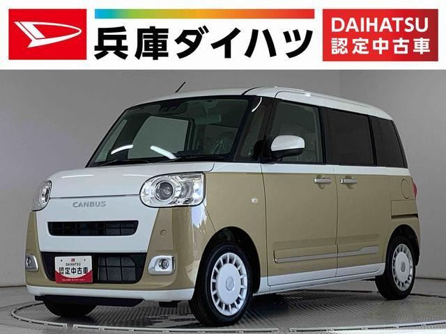 ムーヴキャンバスストライプス G