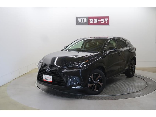 NX300hブラック シークエンス