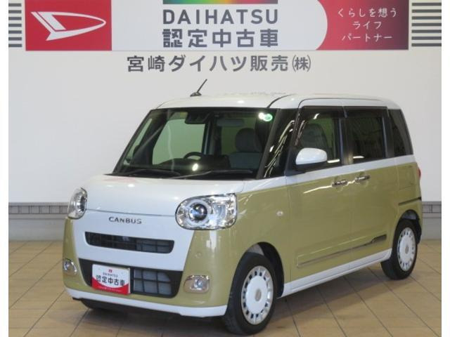 ムーヴキャンバス  ストライプス G