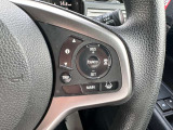 運転支援システムのスイッチになります。高速道路での運転も楽々です!
