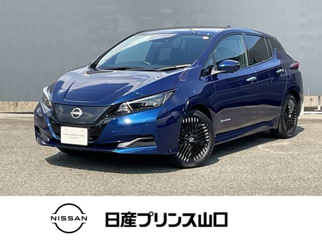 リーフ  X Vセレクション