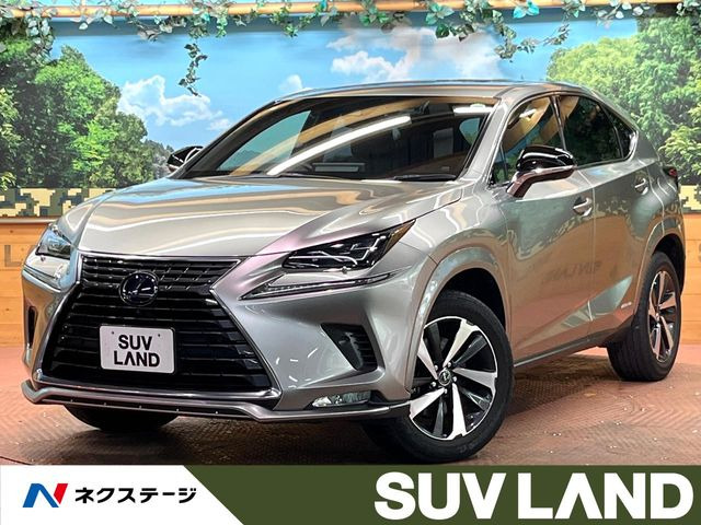 NX300h スパイス&シック