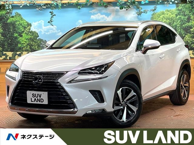 NX300 バージョンL