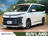 快適利便PKG 10型ナビ ユニバーサルステップ 禁煙 パワーバックドア
