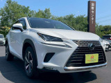 NX 300 バージョンL メーカーナビ フルセグ 全周囲モニター