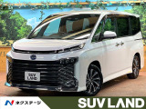 純正10型ナビ 全周囲カメラ ブラインドスポットモニター ETC