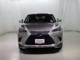 NX 300 
