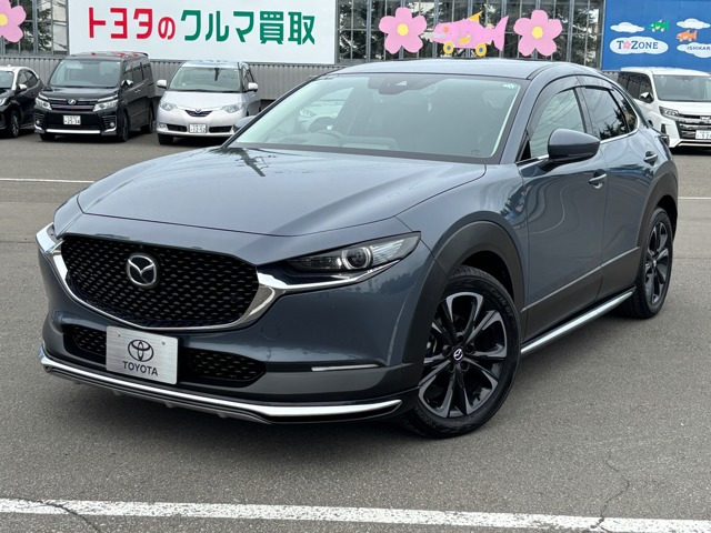 CX-301.8 XD Lパッケージ 4WD