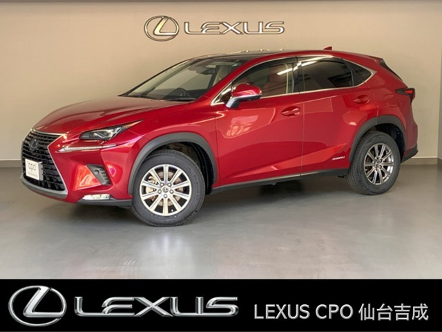 NX 300h Iパッケージ 