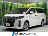100V電源 デジタルインナーミラー レーダークルーズ シートエアコン