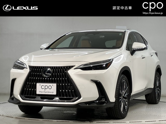 NX 250 バージョンL NX 250 バージョンL