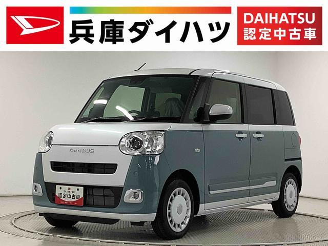 ムーヴキャンバスストライプス G