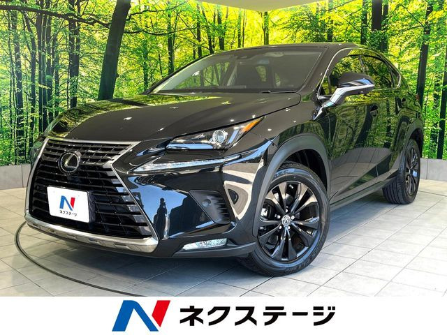 NX300