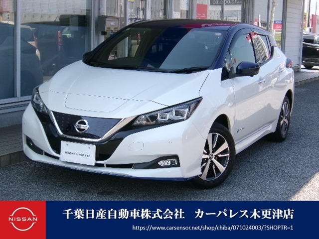 リーフ e+ X 