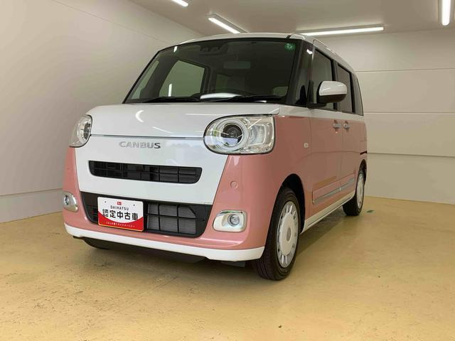 ムーヴキャンバス  ストライプス G