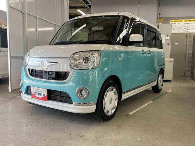 ムーヴキャンバス G メイクアップ SAII 