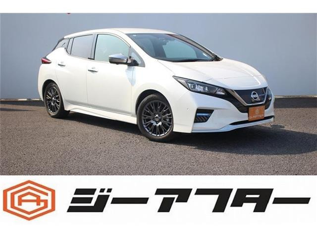 リーフAUTECH令和2年登録 プロパイロット/プロパイロッ