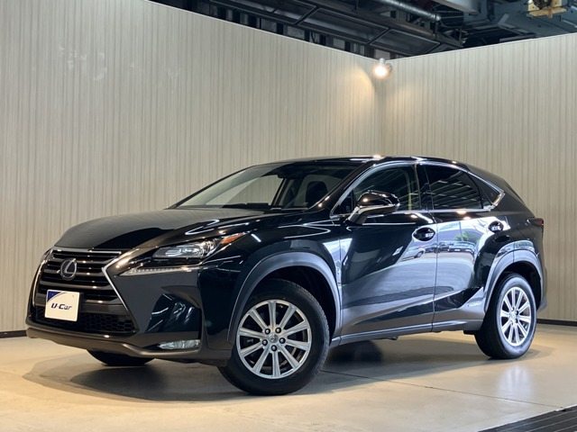 NX300h 4WD