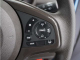 【アダプティブクルーズコントロール】予め設定した車速内でクルマが自動的に加減速。前走車との適切な車間距離を維持しながら追従走行します。【LKAS】車線維持支援システムでステアリング操作を支援。