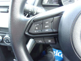 オーディオの音量やチャンネル操作ができるスイッチが、ハンドルに付いています。運転中でも、操作が行えて非常に安全・便利です!