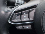 ステアリング左側にはオーディオコントロールスイッチを搭載。走行中でも簡単に音量の上げ下げ、曲の送り戻し、モードの切り替えが可能です。クイックに切り替えてお好みの音楽で楽しいドライブを!