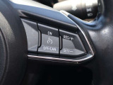 アクセルペダルを踏まなくても車速を約30から100km/hの間に設定できる装置です。高速道路、加速/減速の繰り返しが少ない自動車道などで使用すると、とても快適なドライブができますね♪