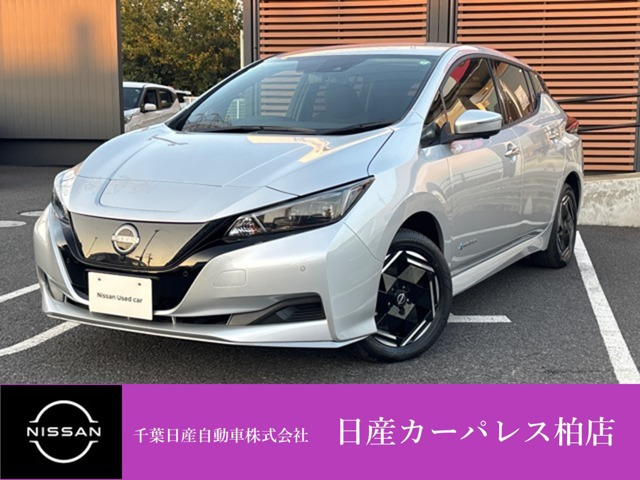 リーフ e+ X 