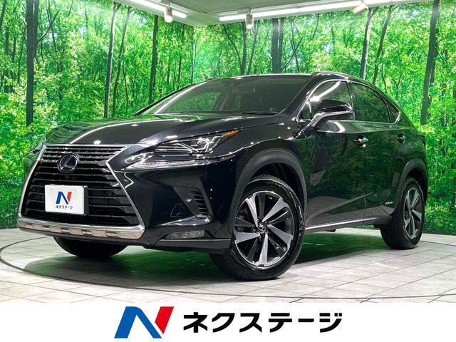 NX 300h バージョンL 