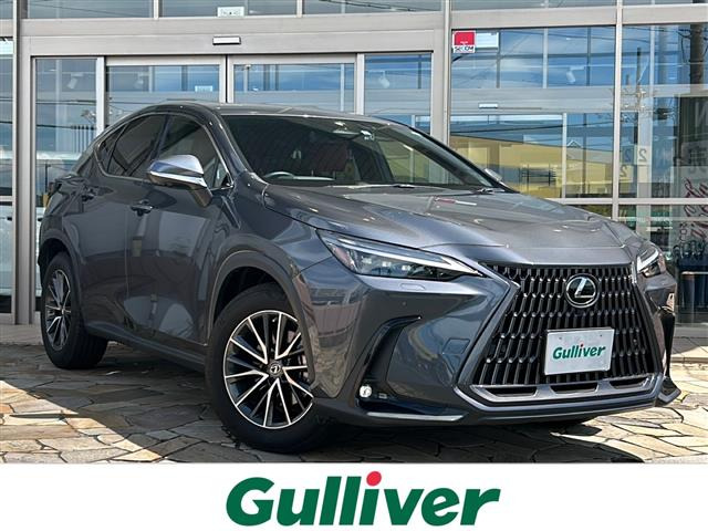NX 250 バージョンL 本革シート ワンオーナー