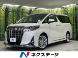 モデリスタエアロ 寒冷地仕様 両側電動スライドドア 純正9型SDナビ