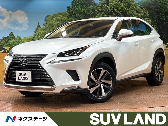 NX 200t Iパッケージ 