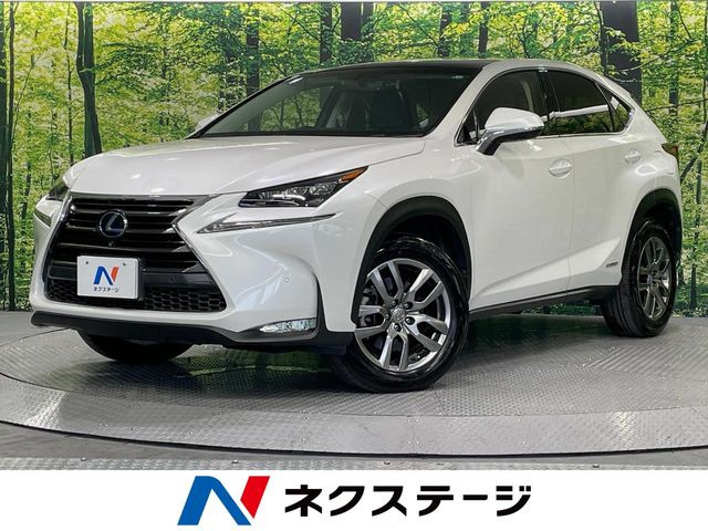 NX 300h Iパッケージ 