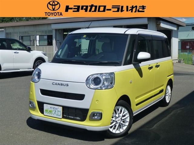 ムーヴキャンバス  ストライプス G