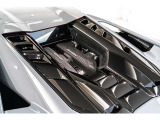Engine frame Inserts on Cofango in Shiny black