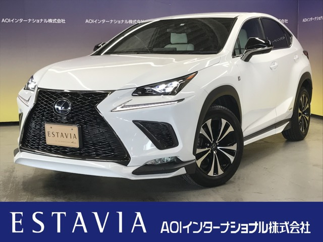 NX 300h Fスポーツ 