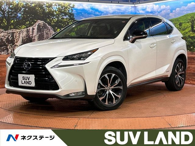 NX300h アーバンスタイル