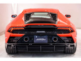 Transparent Engine Bonnet