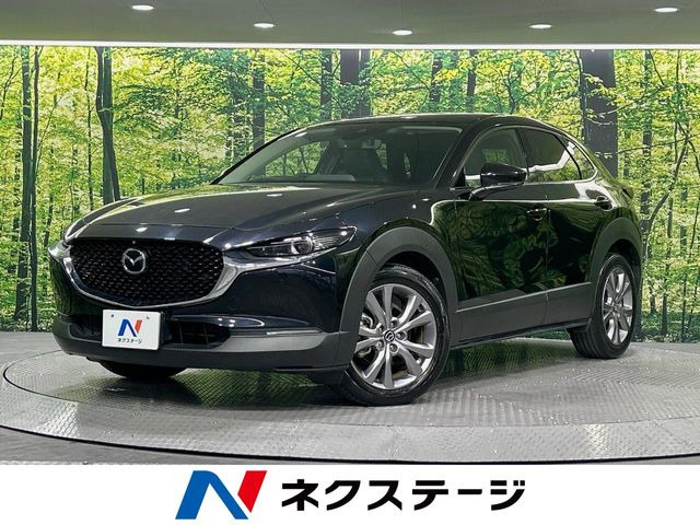 CX-301.8 XD Lパッケージ