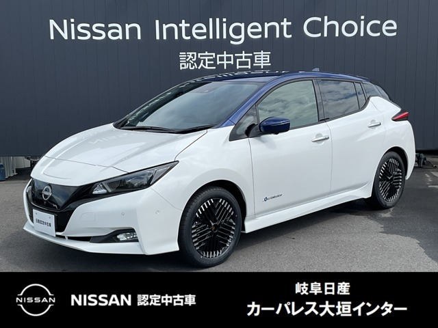 リーフ G 