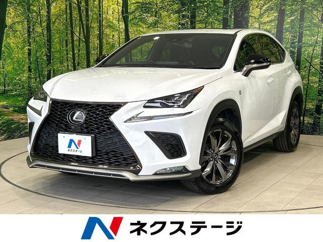 NX300 Fスポーツ