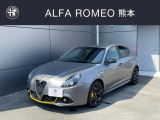 50台限定 特別色マグネシウムグレーマット+イエローアクセントカラー