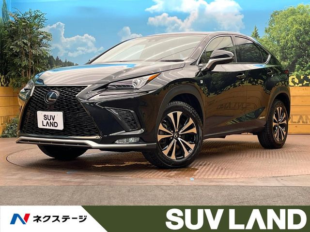 NX 300h Fスポーツ 