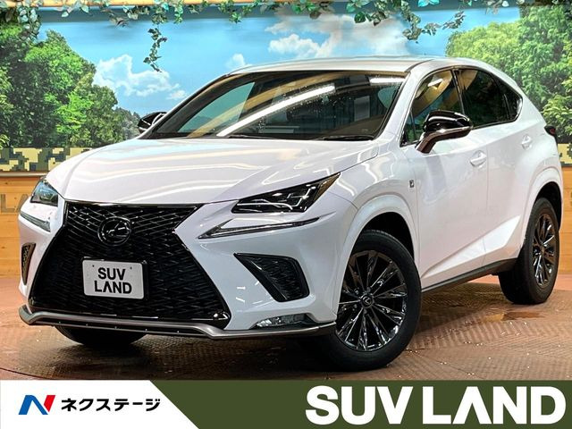 NX300 クール&ブライト特別仕様車