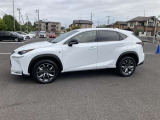 NX 300h Fスポーツ 