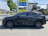 NX 250 バージョンL 