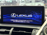NX 300 クール&ブライト 特別仕様車