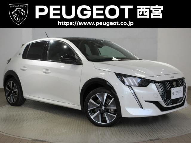 e-208 GT 